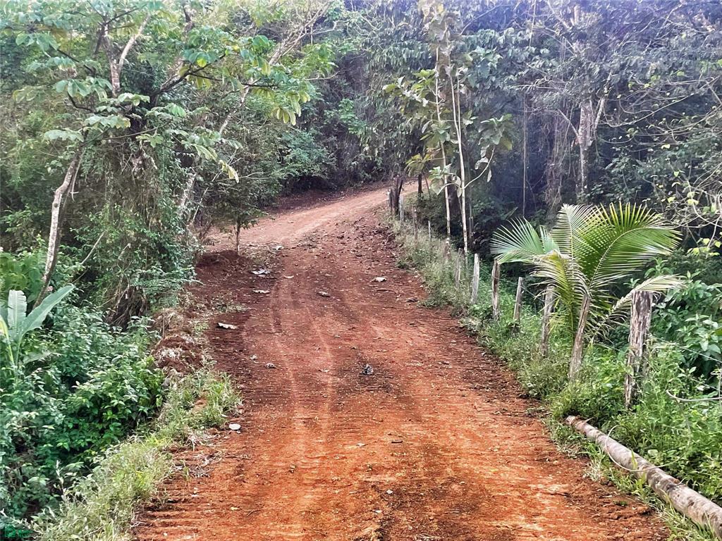 Ocean View Finca Playa Carrillo
