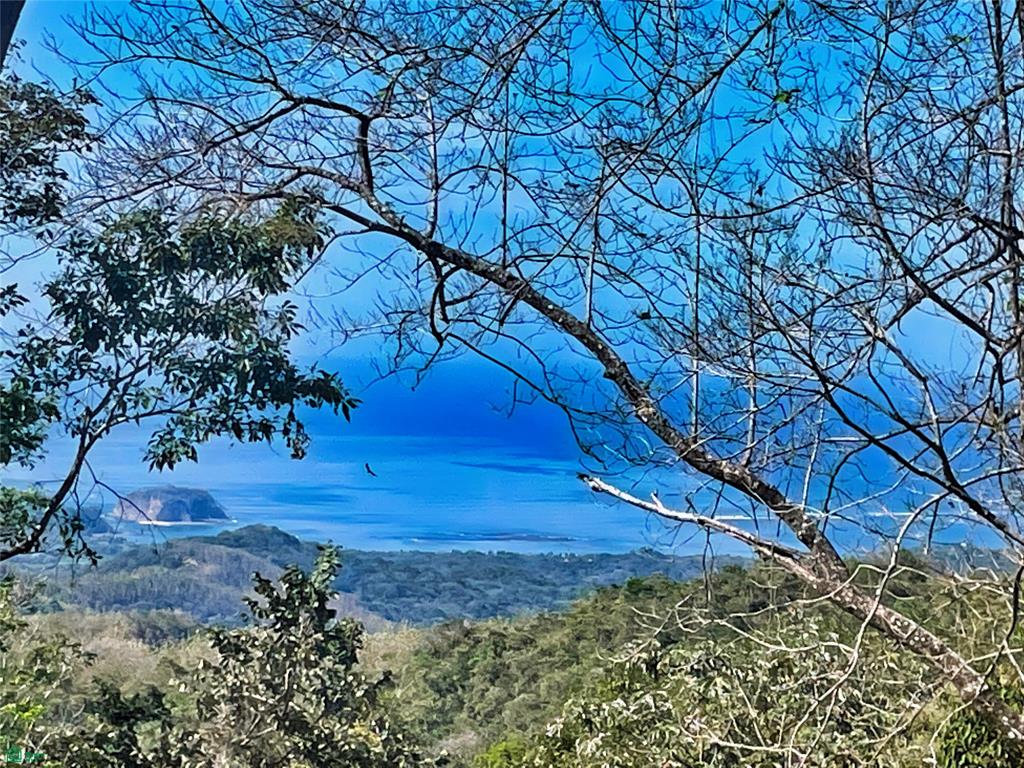 Ocean View Finca Playa Carrillo
