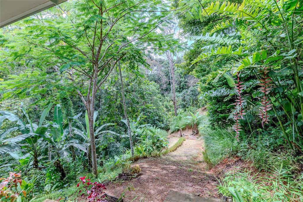 Four Residences Platanillo