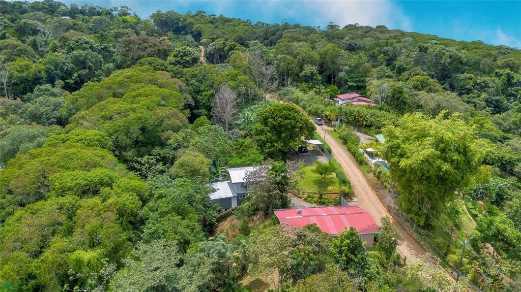 Four Residences Platanillo