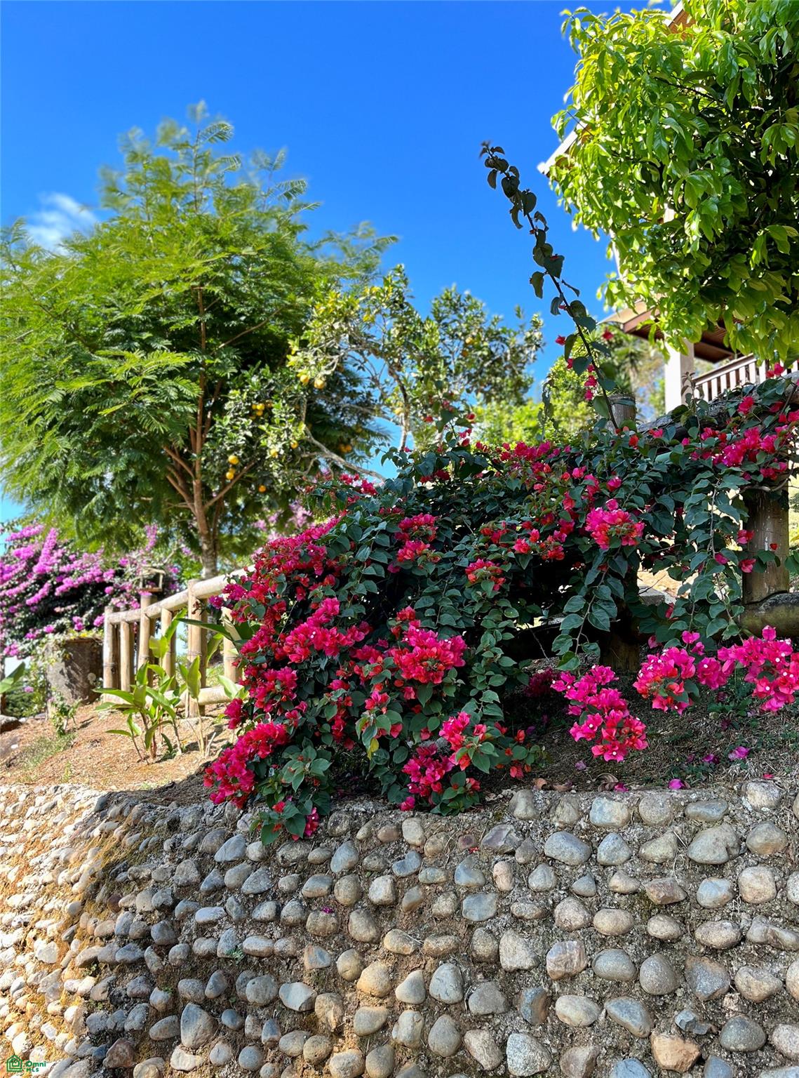 Casa Valverde