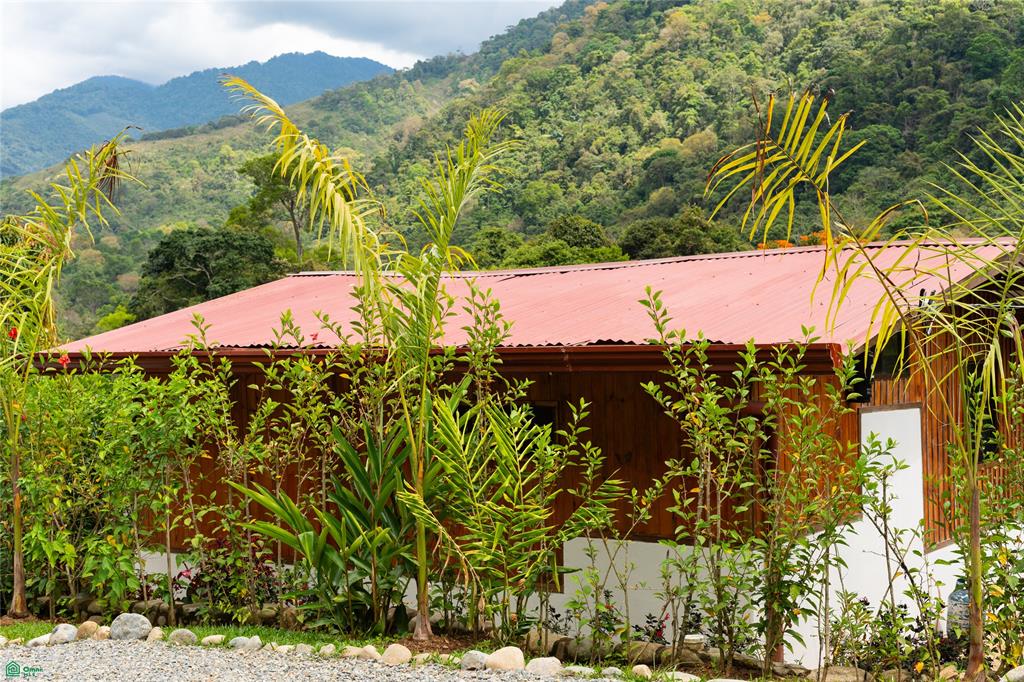 Casa Vida de Amor