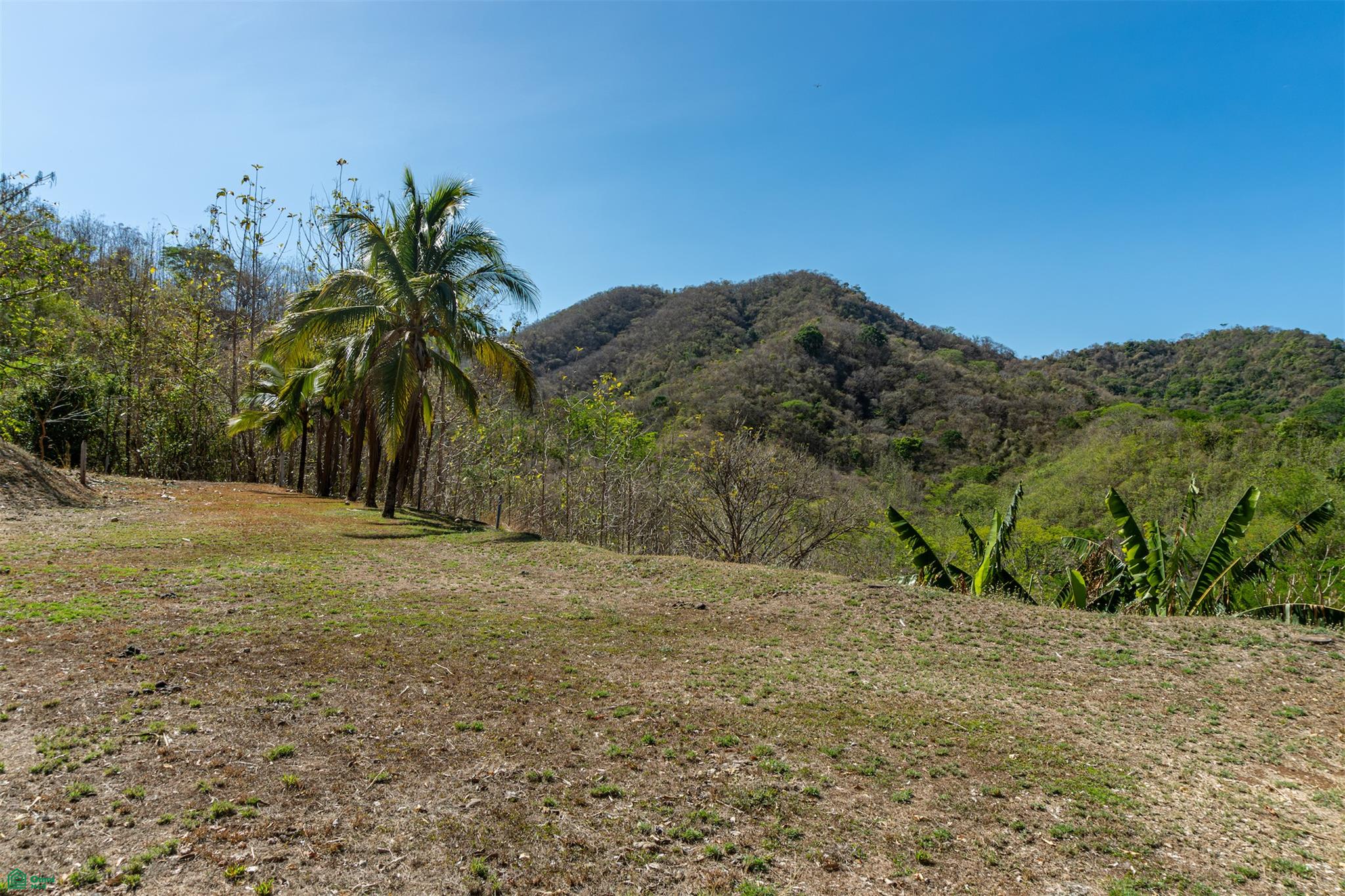Finca Luna y Sol | Home with 185 Acres