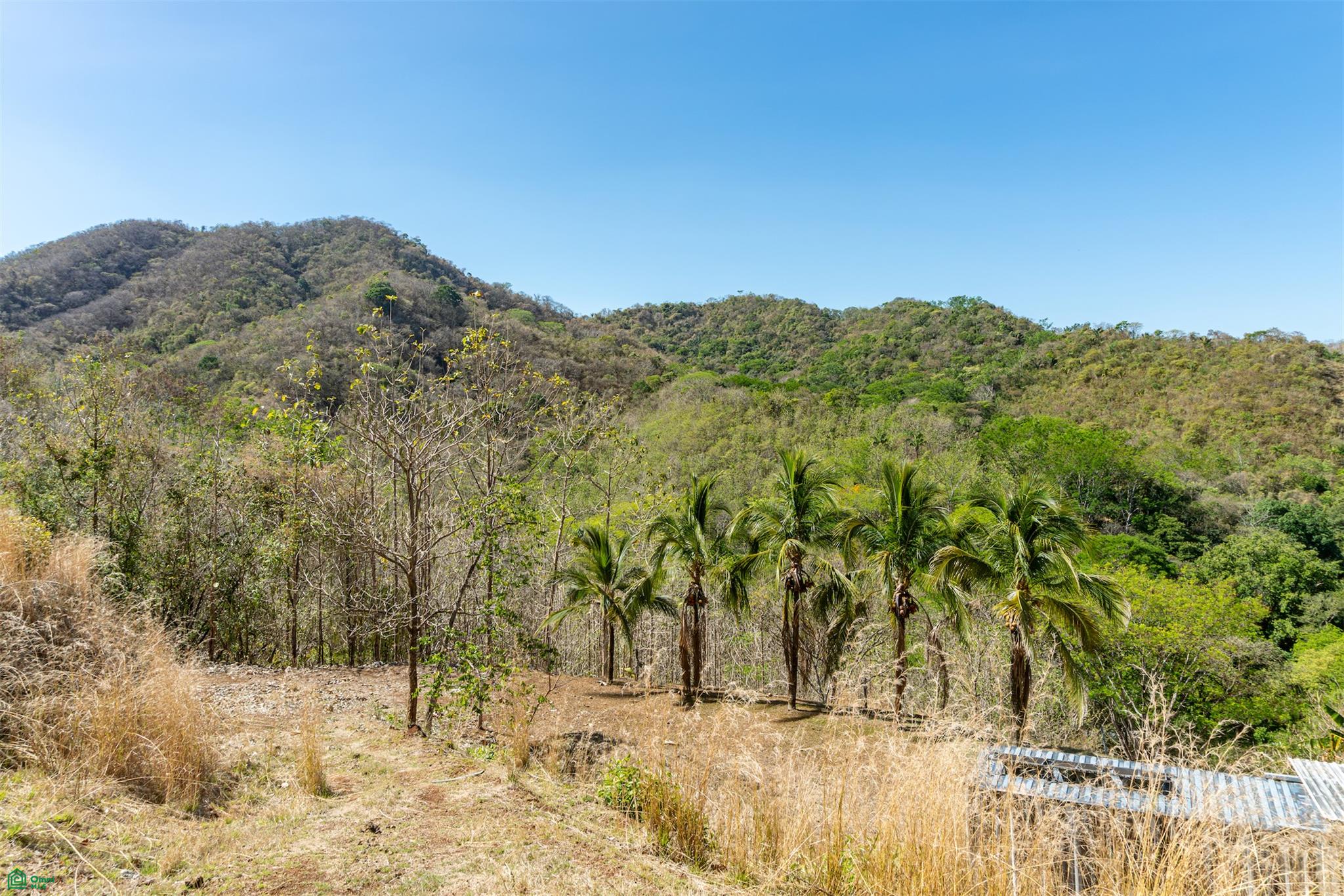 Finca Luna y Sol | Home with 185 Acres
