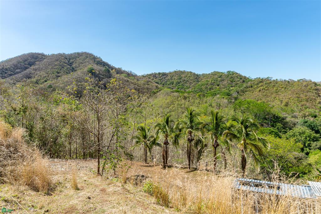 Finca Luna y Sol | Home with 185 Acres