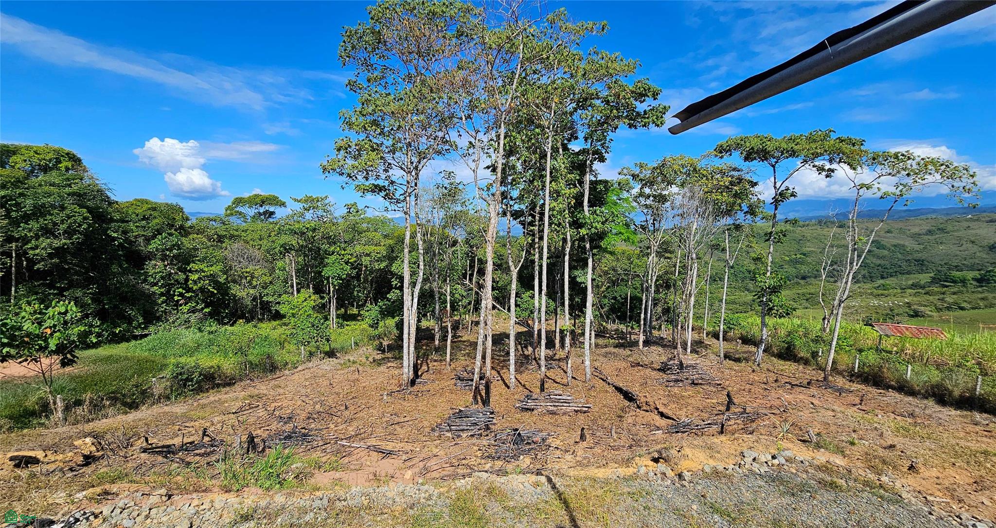 The Timber Sanctuary