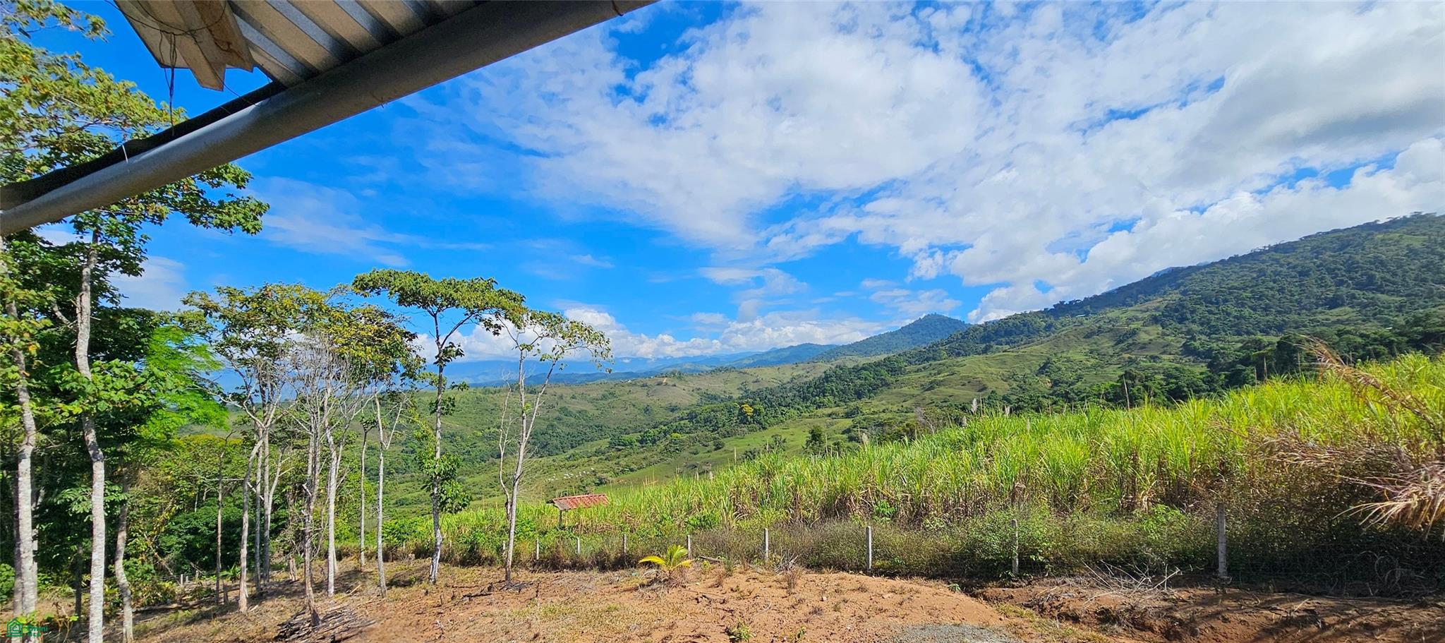 The Timber Sanctuary