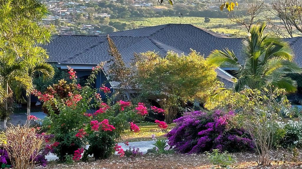 Central Valley View Estate