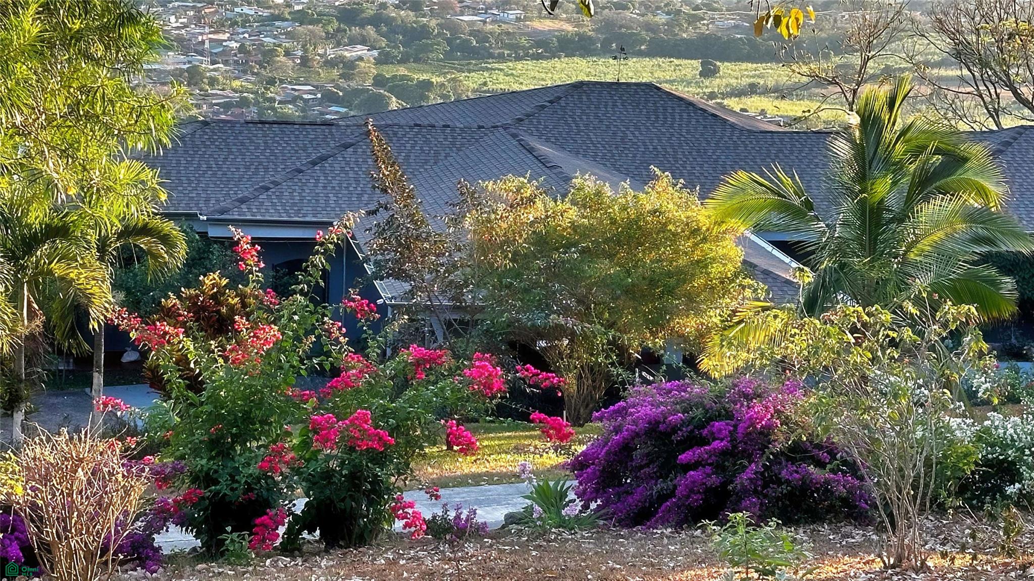 Central Valley View Estate