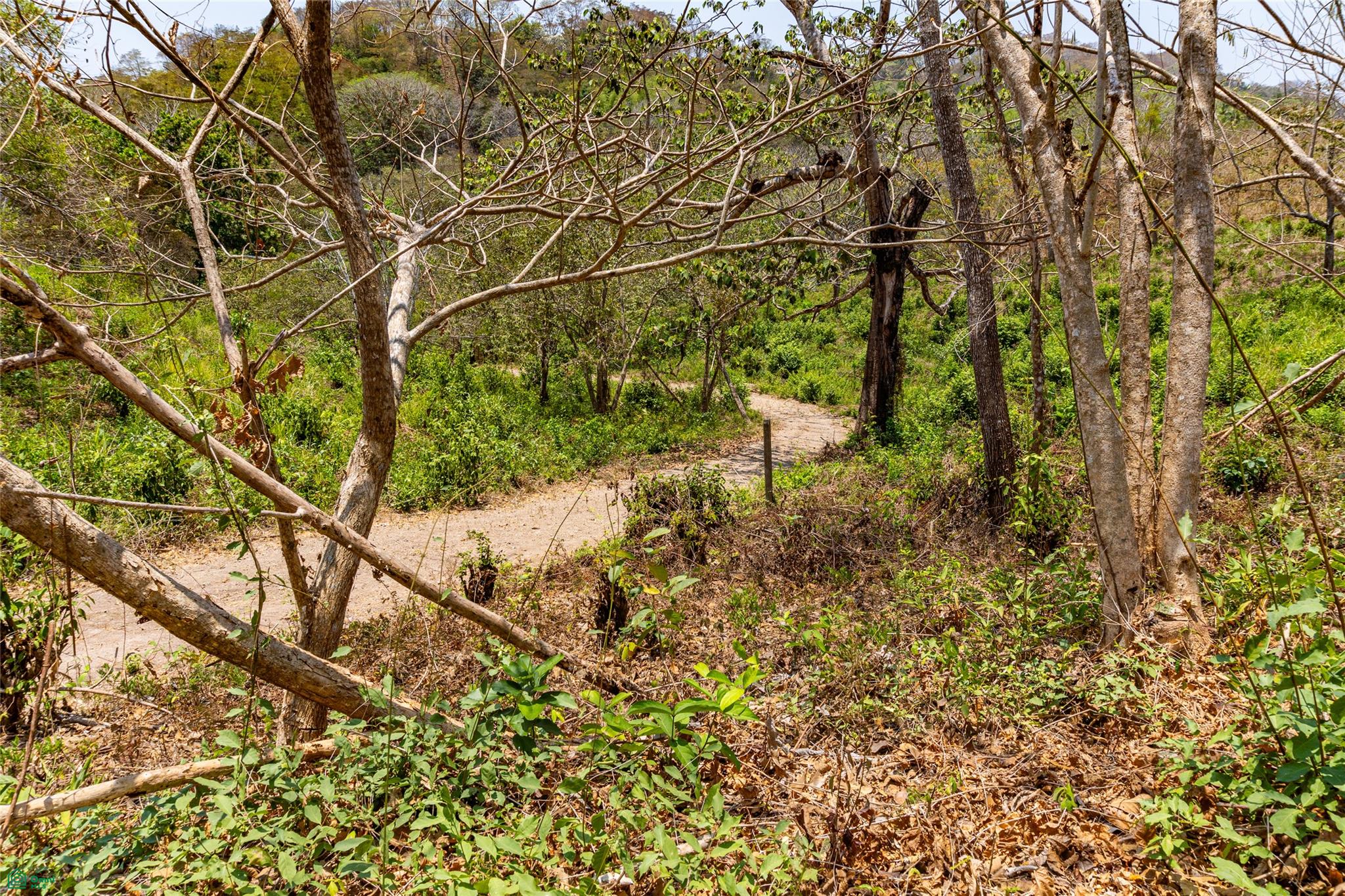 Finca Sueño del Mar | 16 Acres