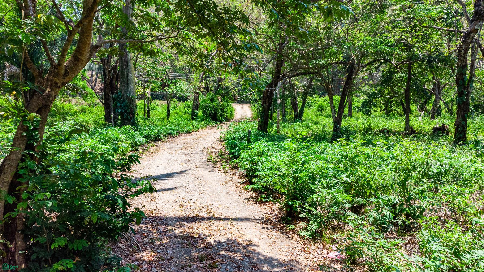 Finca Sueño del Mar | 16 Acres
