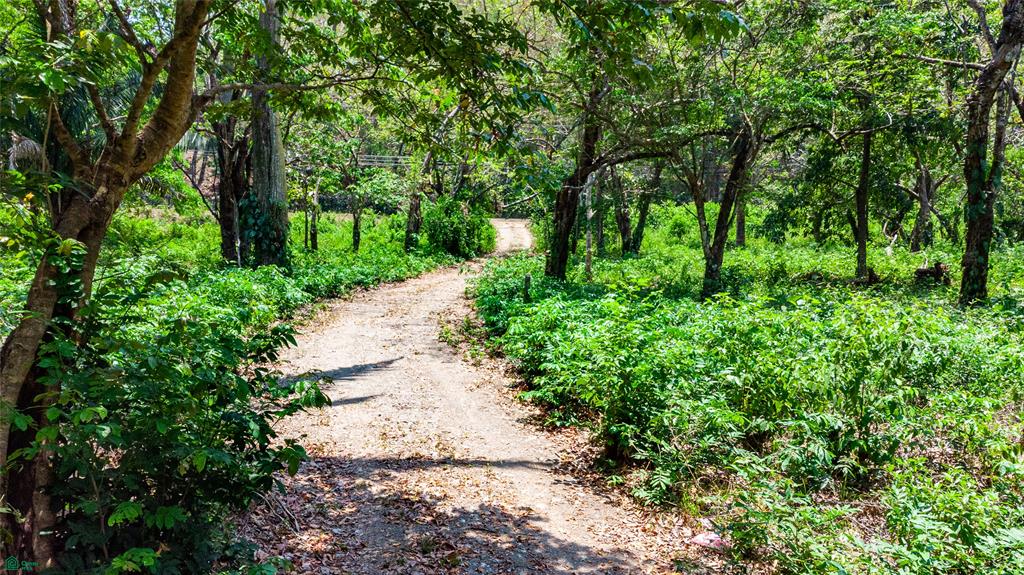 Finca Sueño del Mar | 16 Acres
