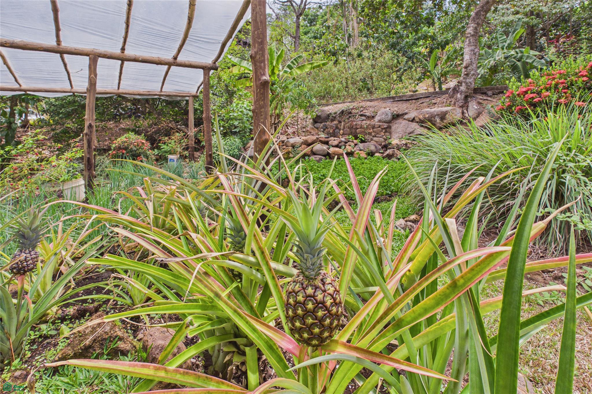 Casa Brisa | La EcoVilla