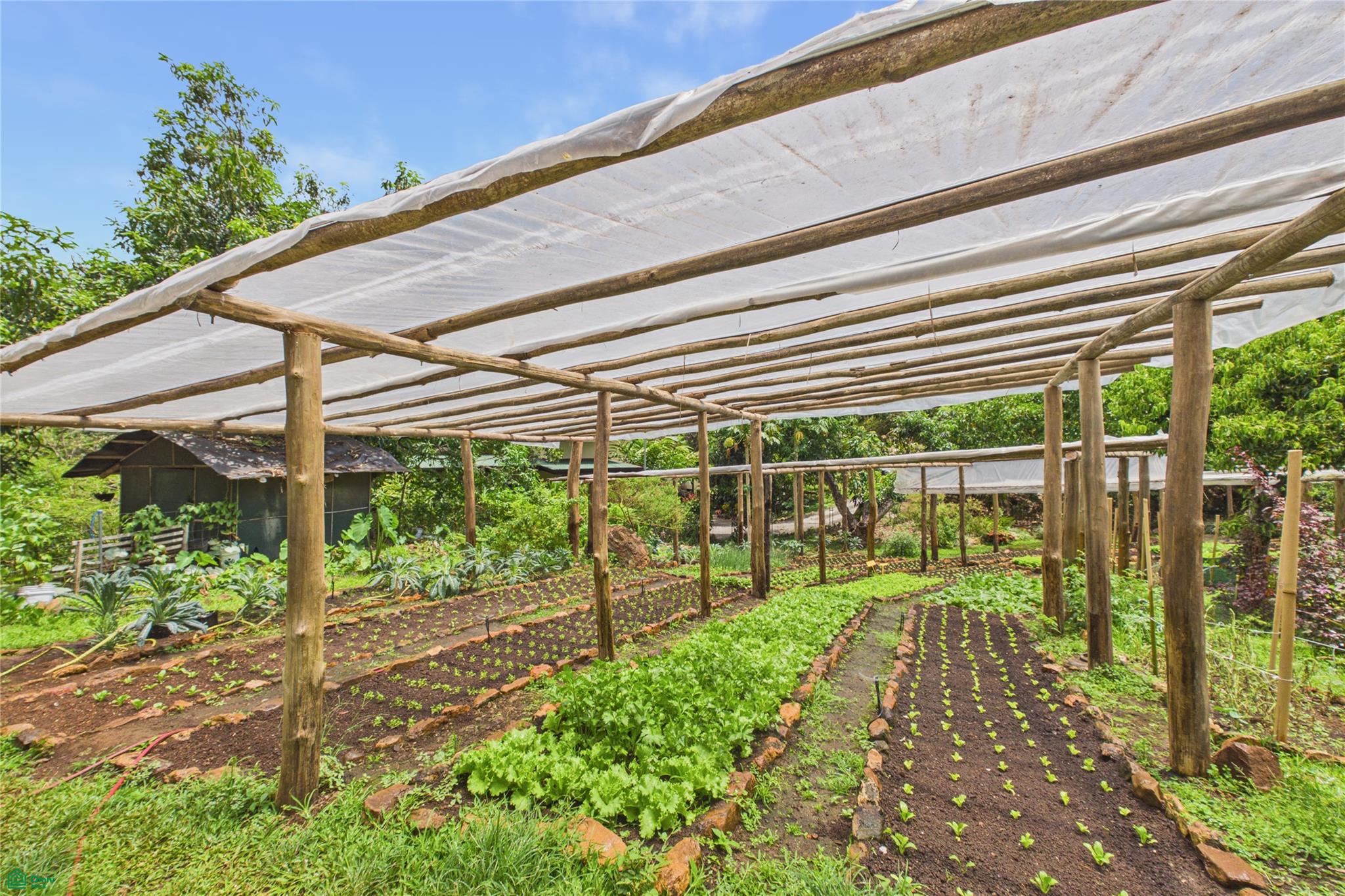 Casa Brisa | La EcoVilla