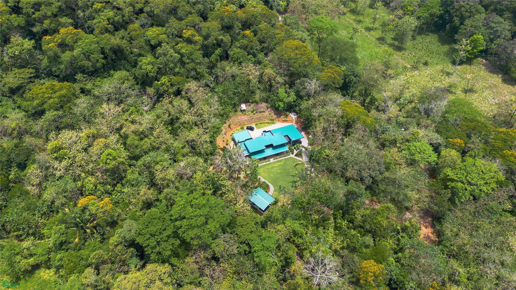 The Hidden Jungle Residence