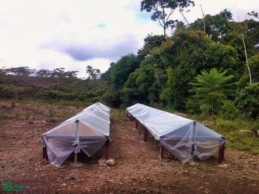 Finca Hamacas