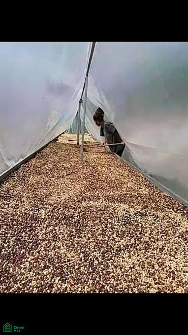 Finca Hamacas