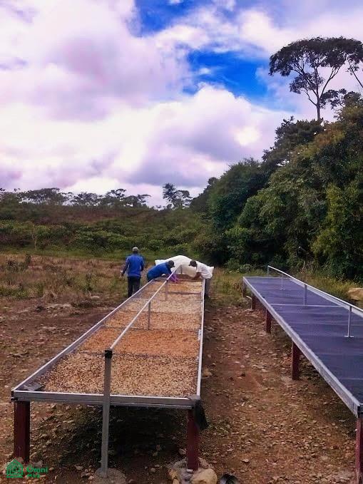 Finca Hamacas