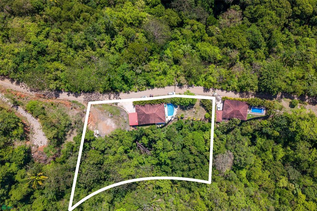 Casa Jungalow
