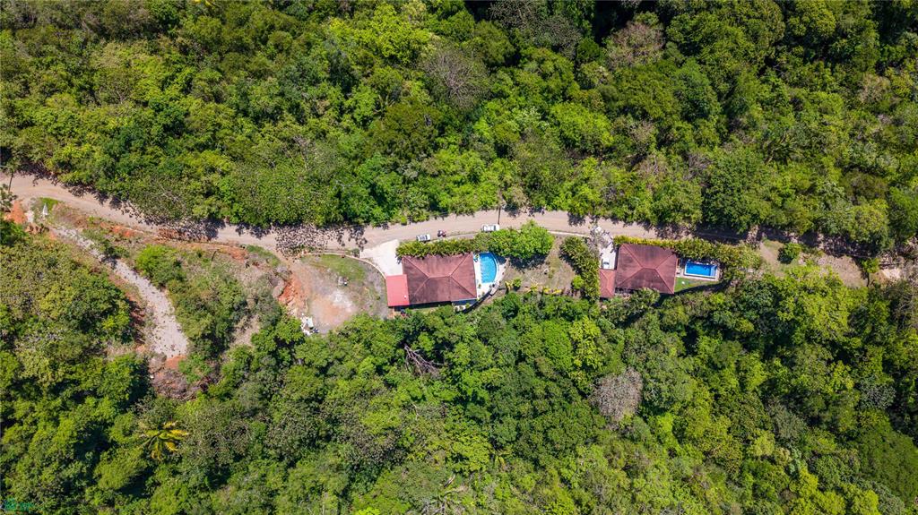 Casa Jungalow