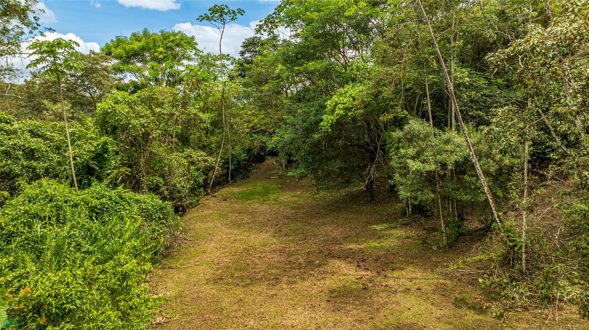 Cacique | Chirripo