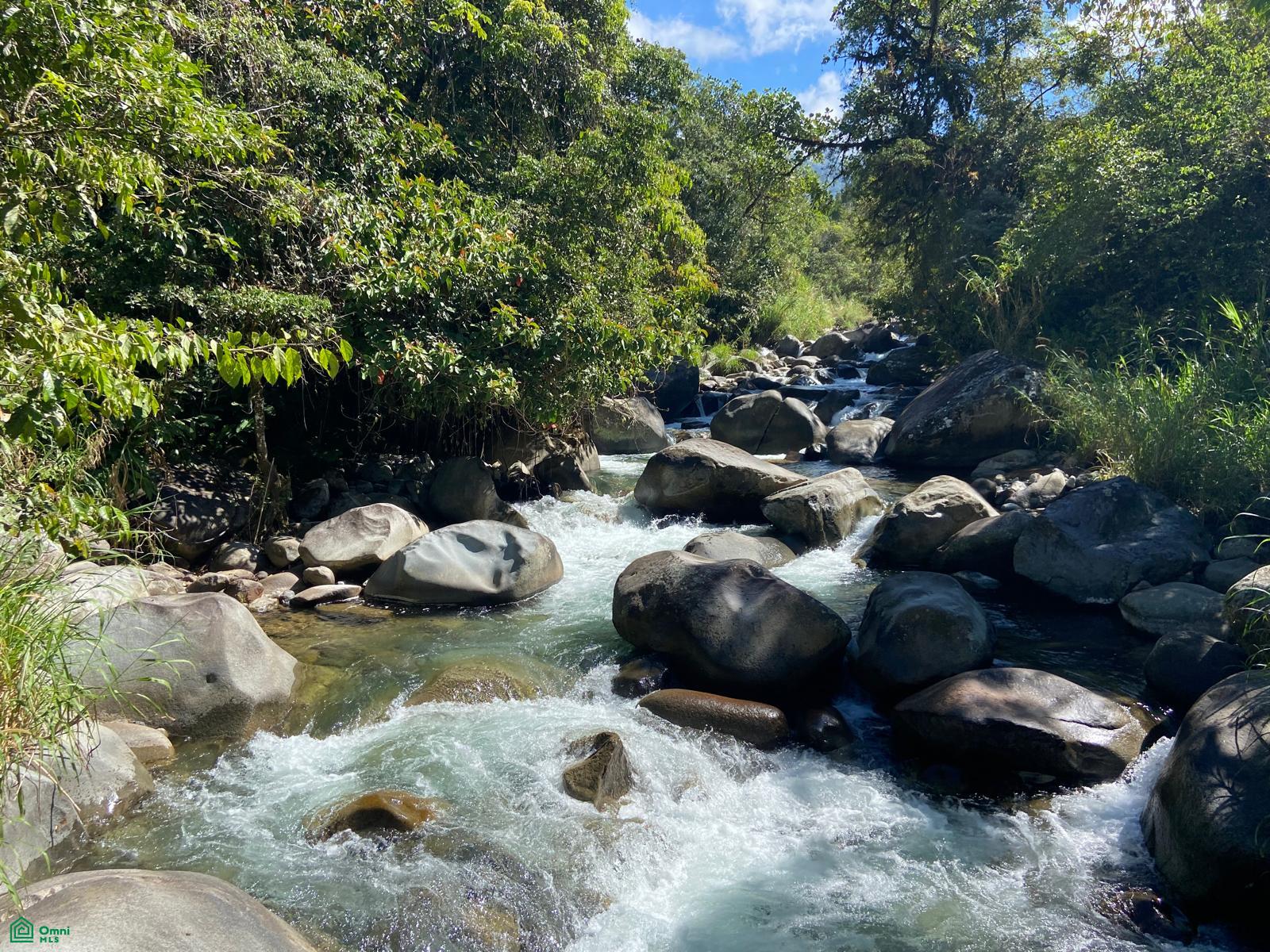 Cacique | Chirripo