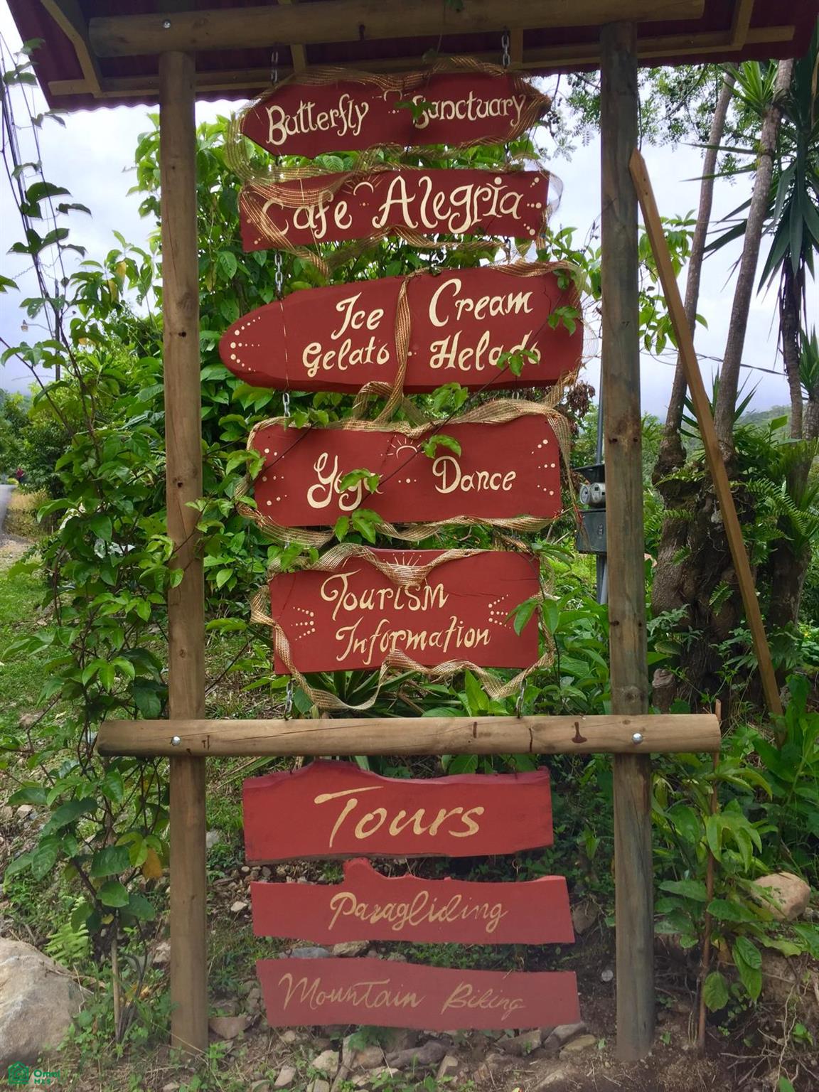 Cacique | Chirripo