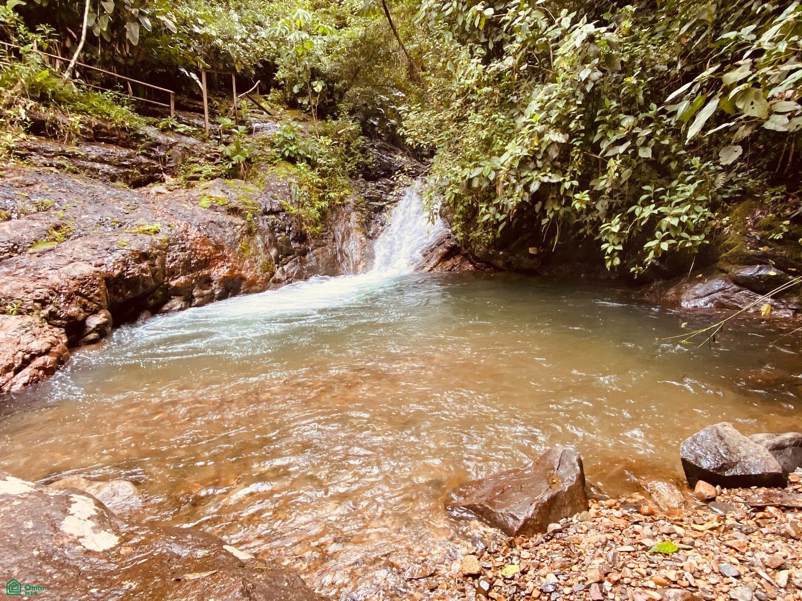 Cacique | Chirripo