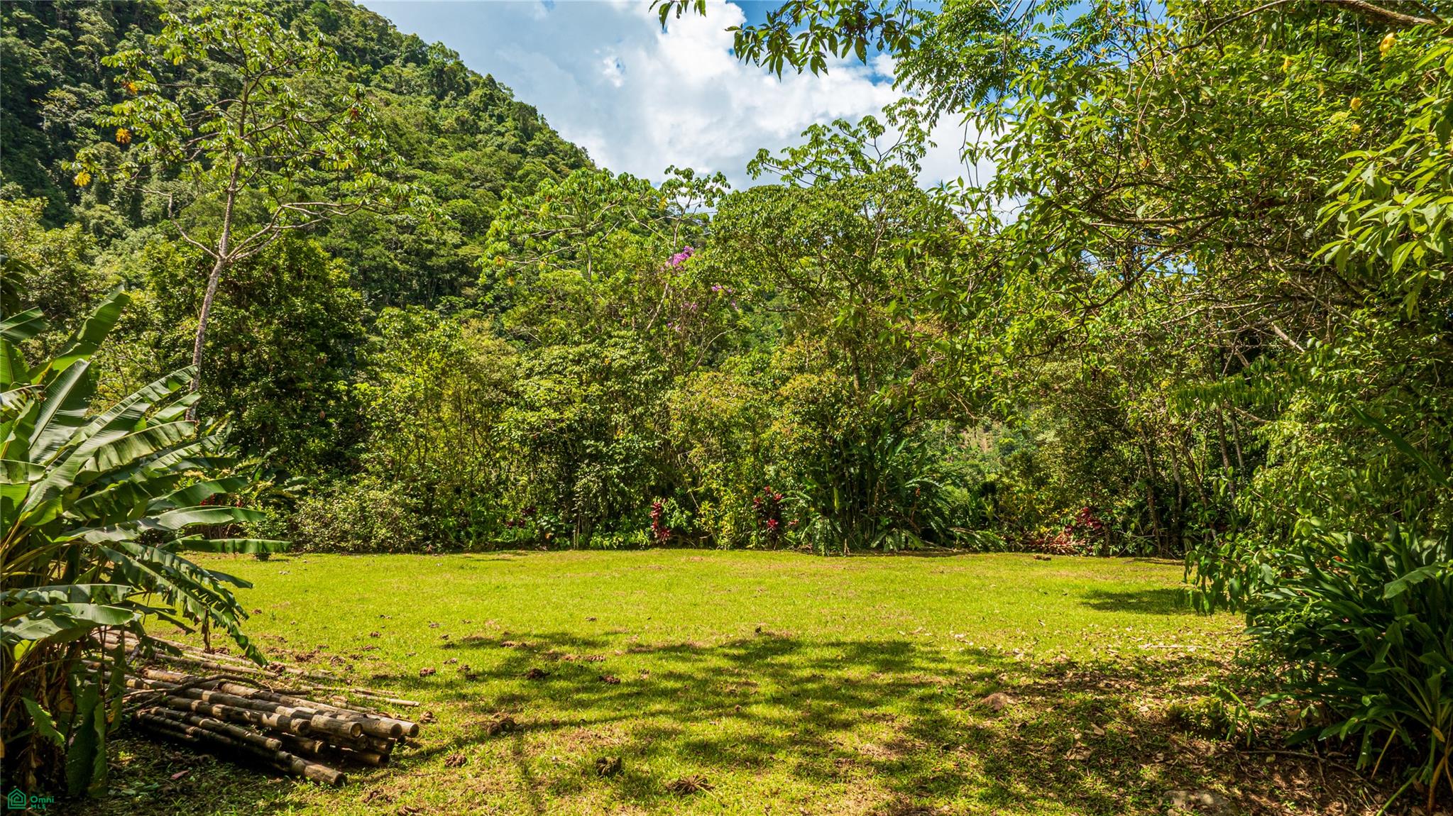 Cacique | Chirripo