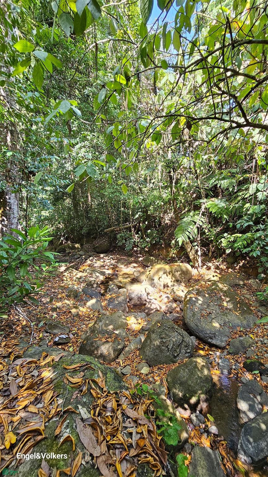 Finca Harmony