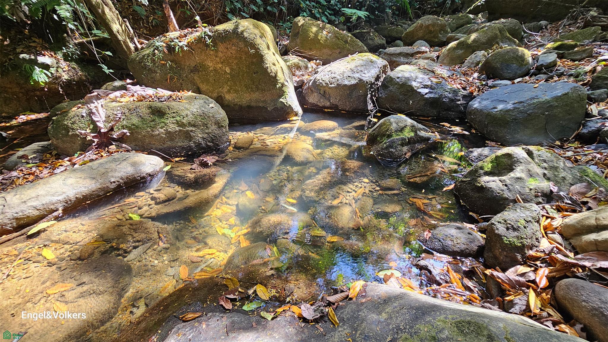 Finca Harmony
