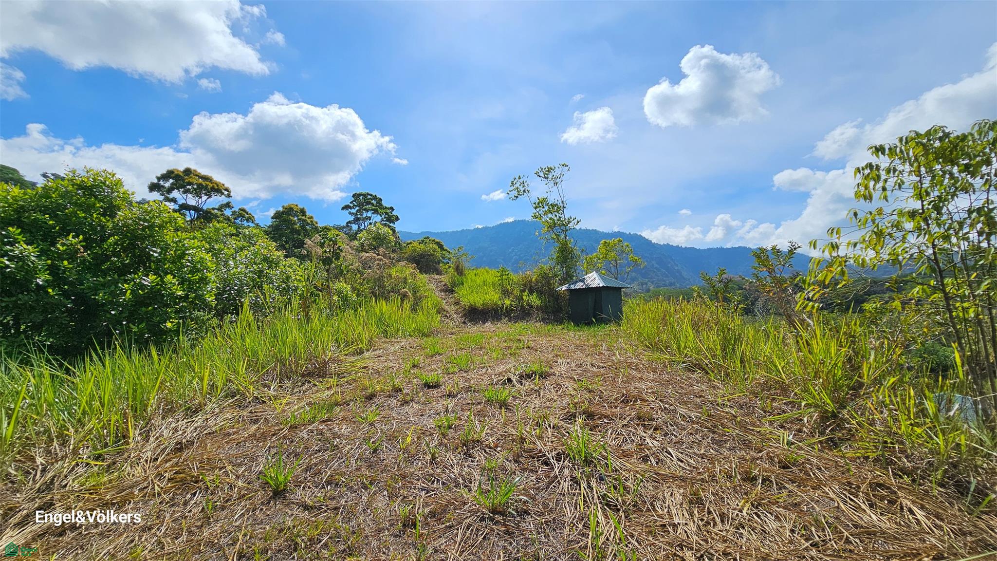 Finca Harmony