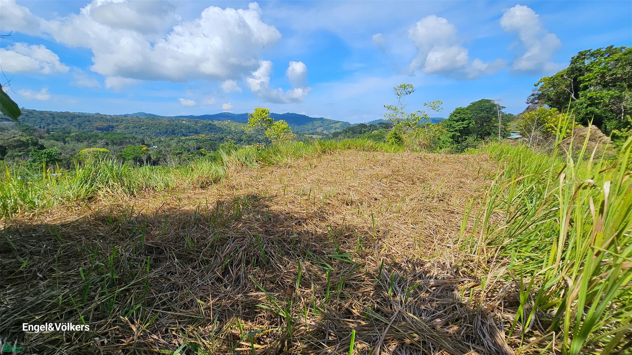 Finca Harmony