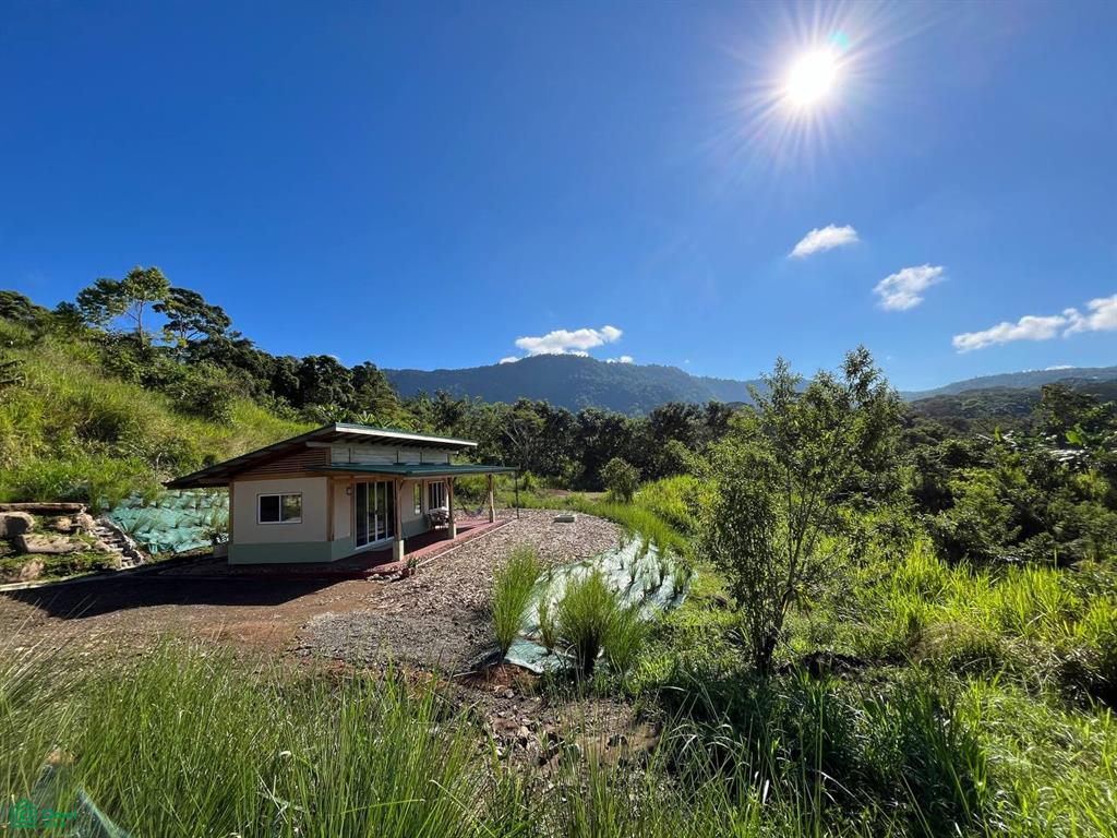 Finca Harmony