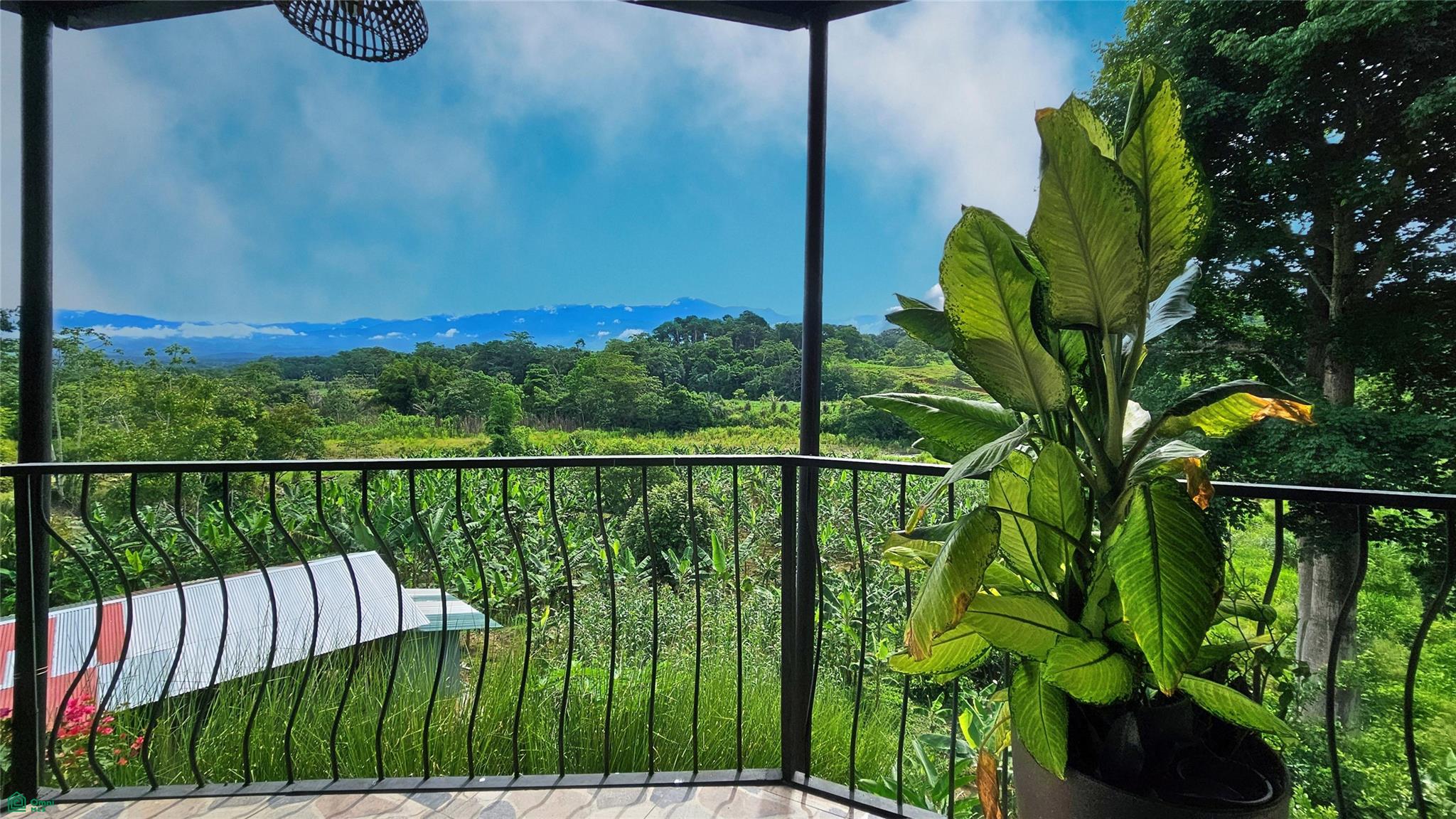 Finca Interamericana