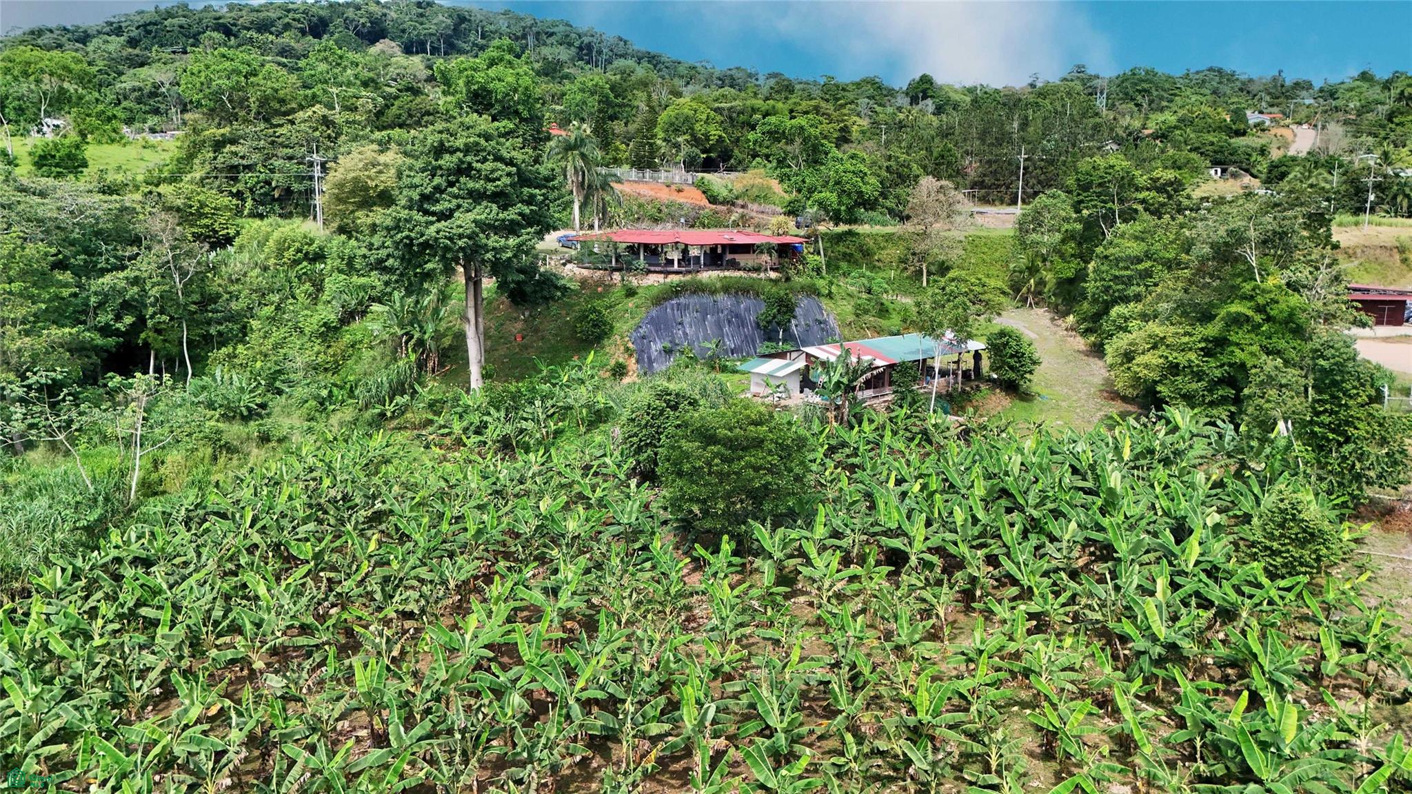 Finca Interamericana