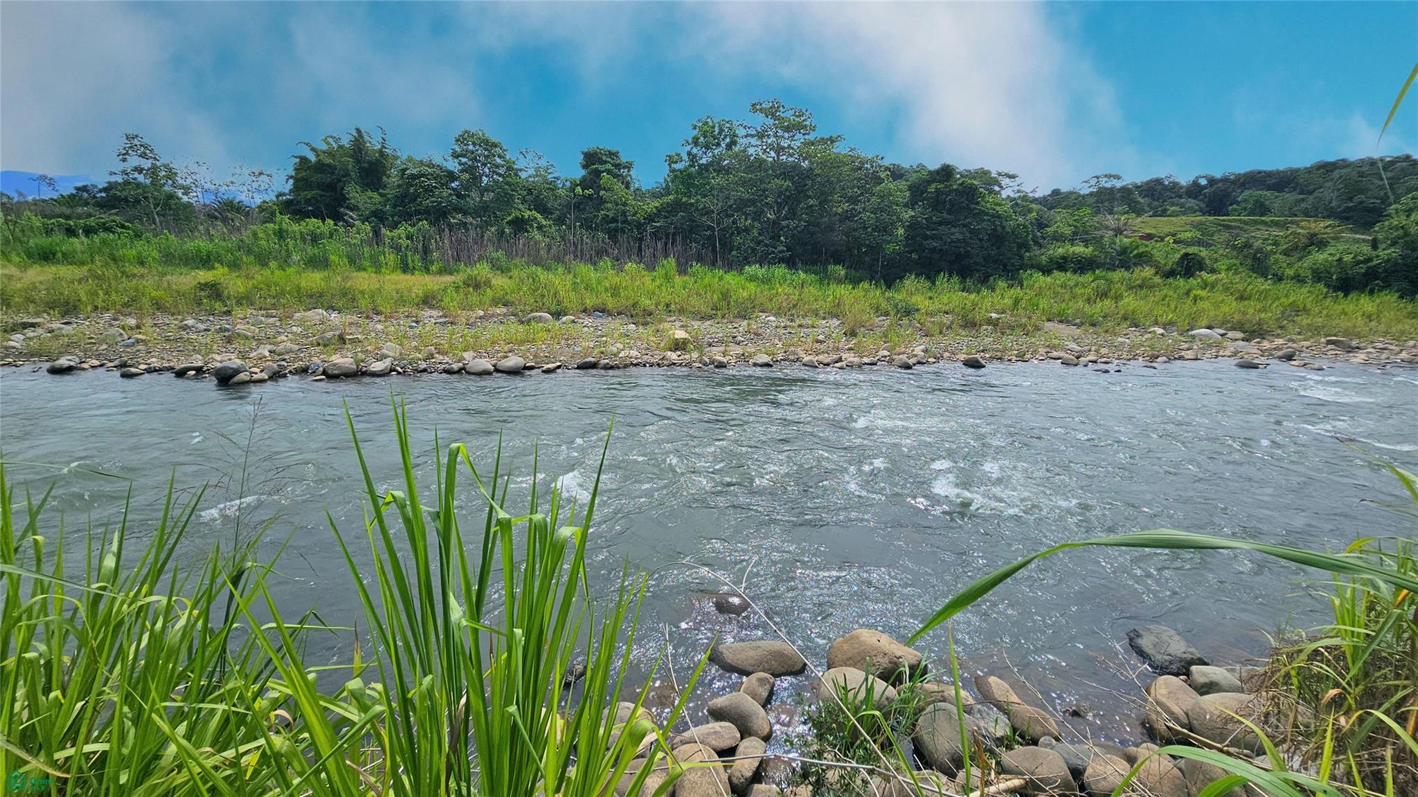 Finca Interamericana