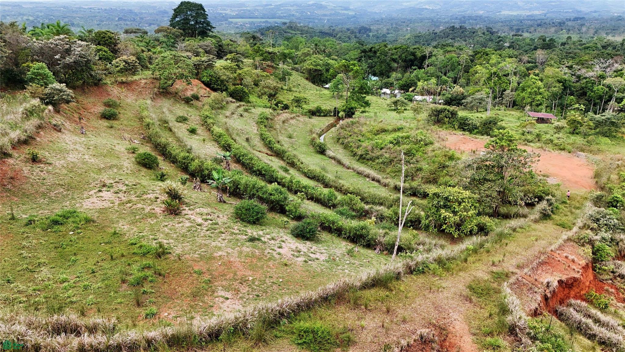 Finca Tambor
