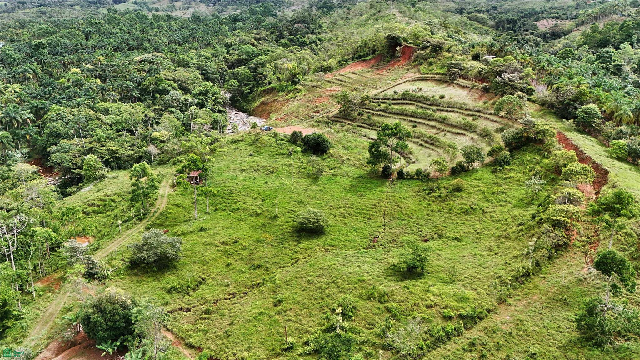 Finca Tambor