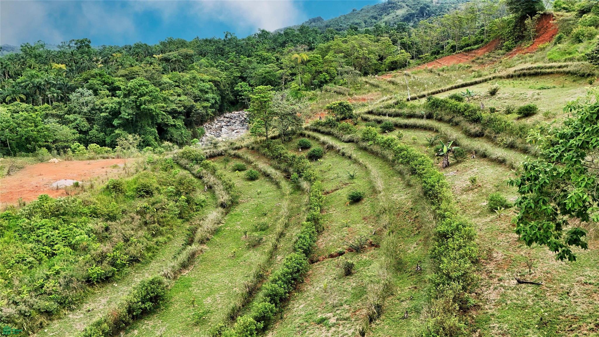 Finca Tambor