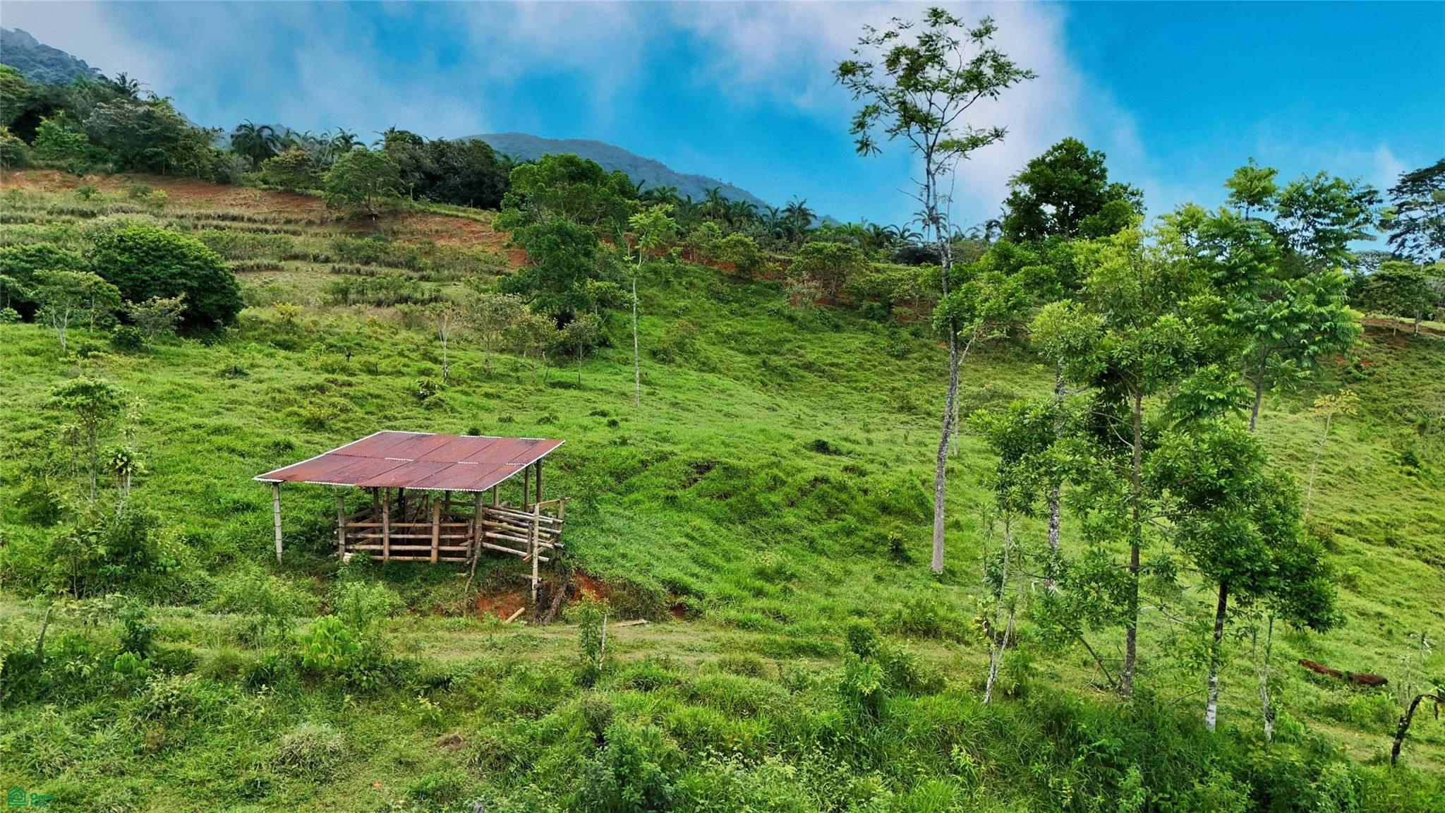 Finca Tambor