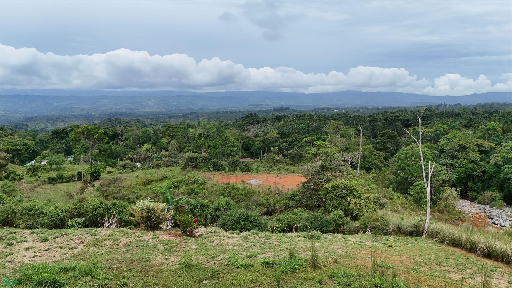 Finca Tambor
