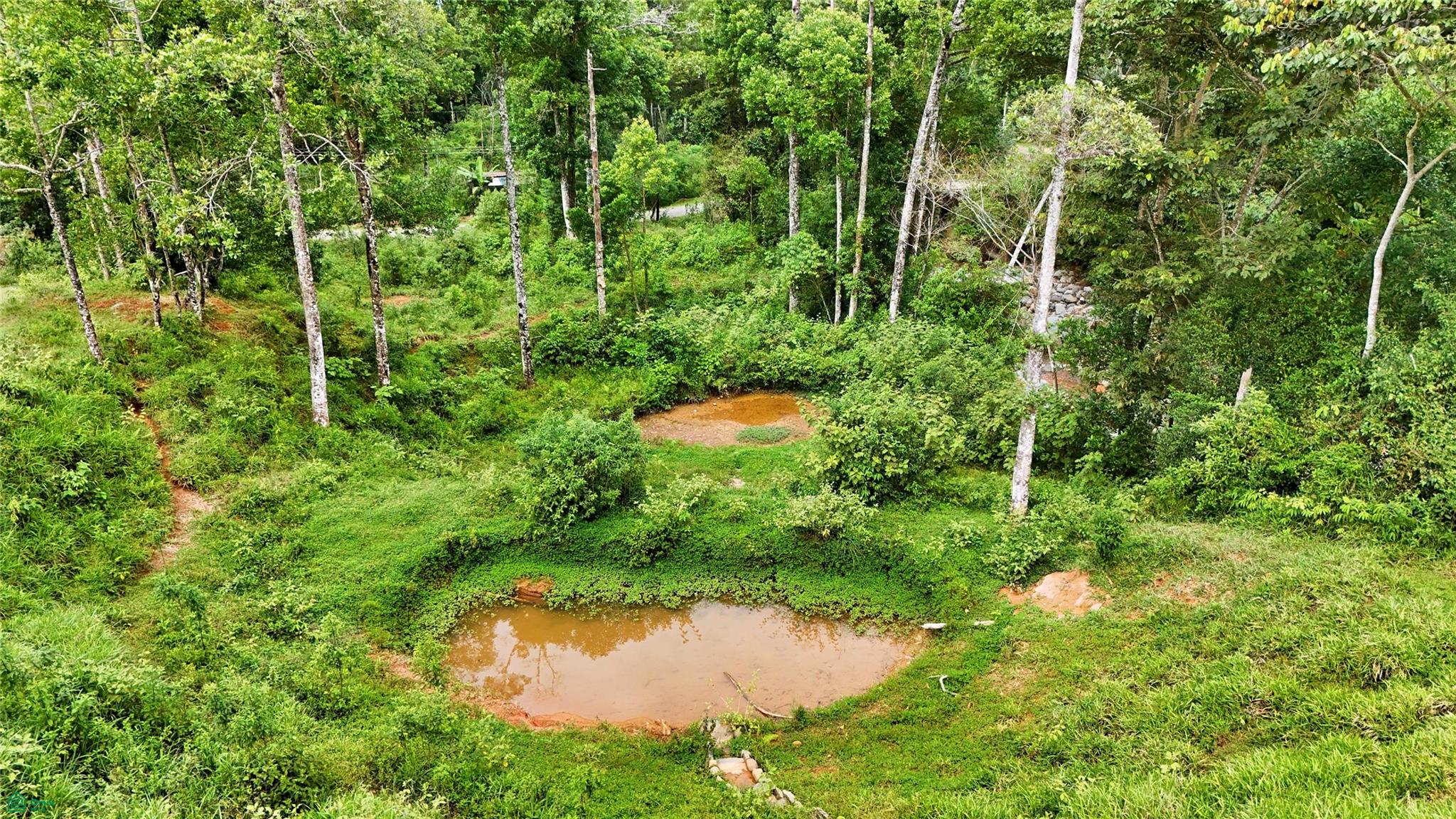 Finca Tambor