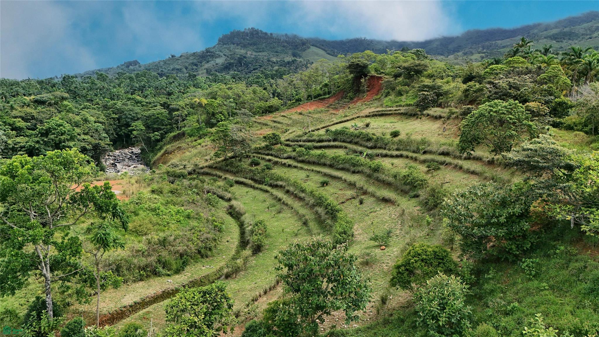 Finca Tambor