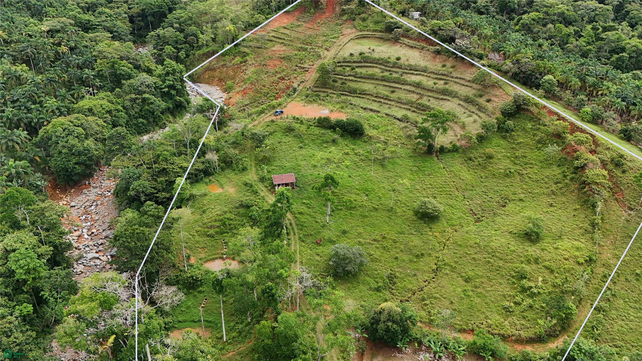 Finca Tambor