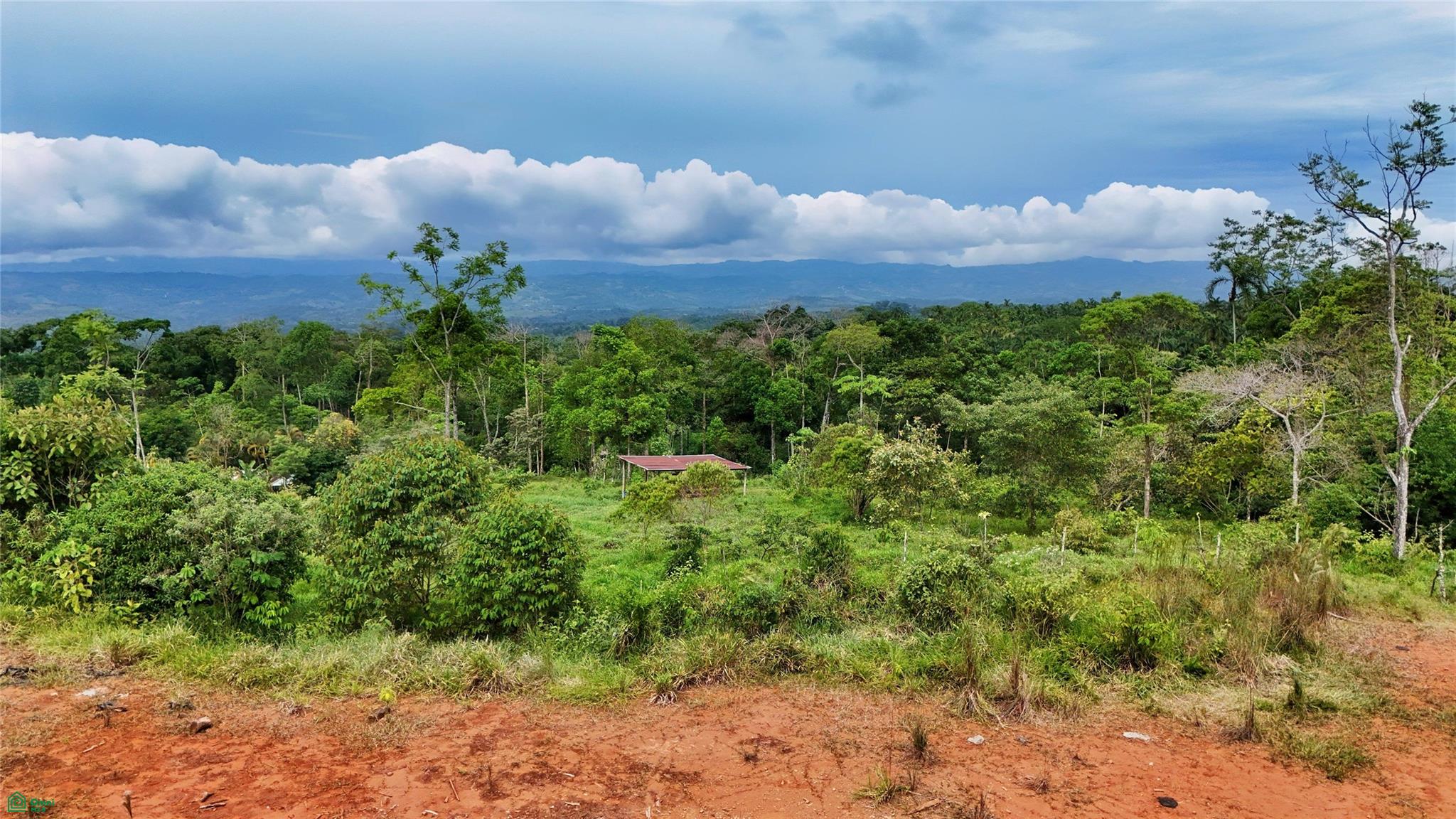 Finca Tambor