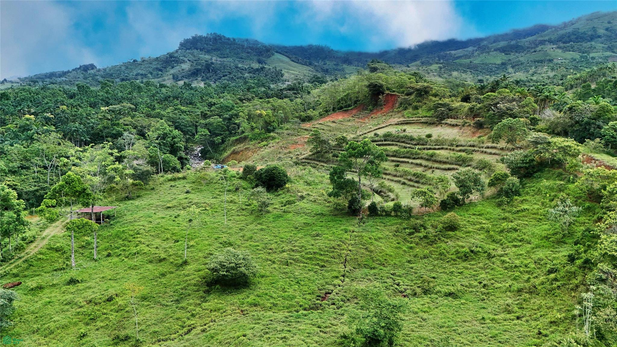 Finca Tambor