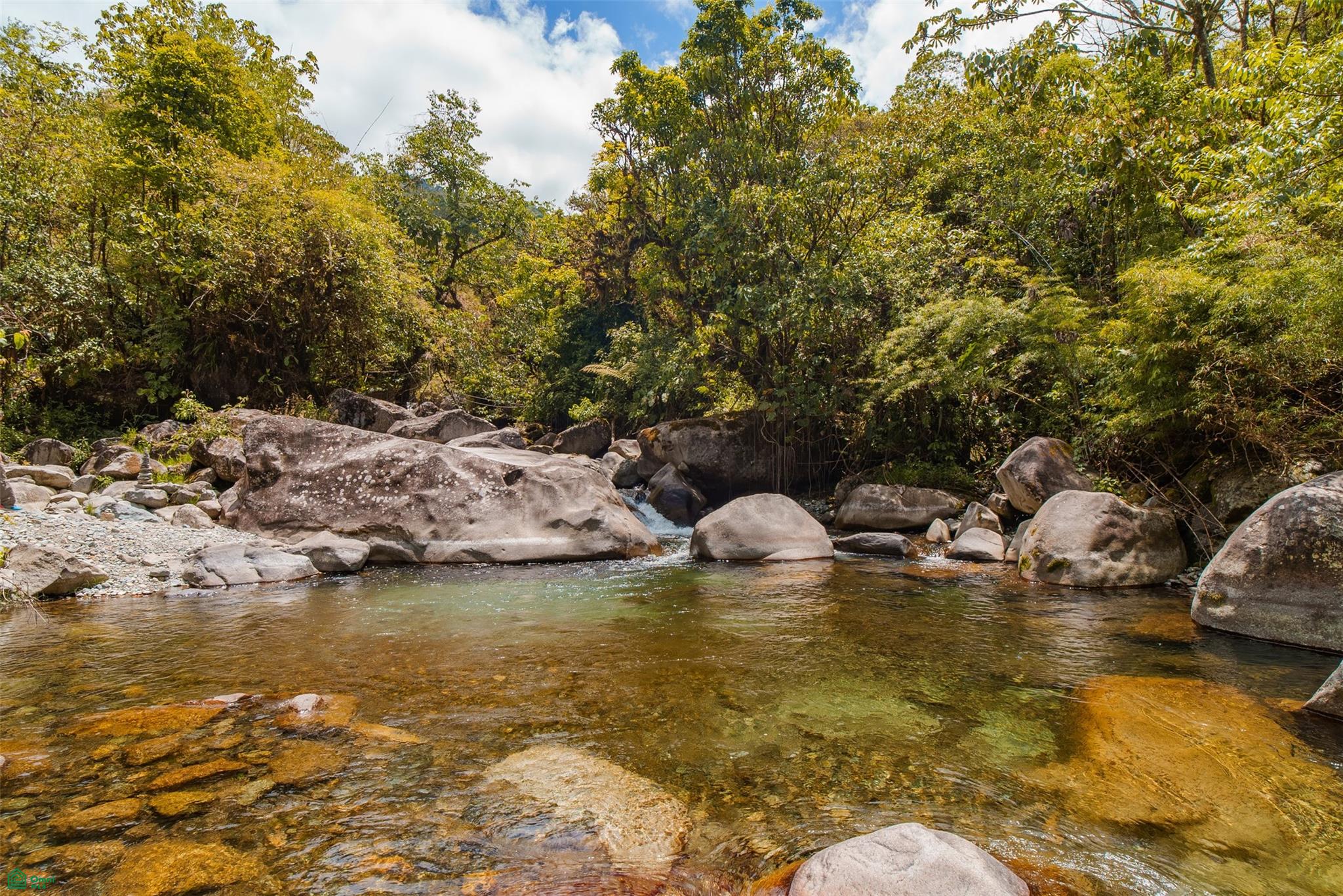 Jardín Sin Tiempo | Chirripo