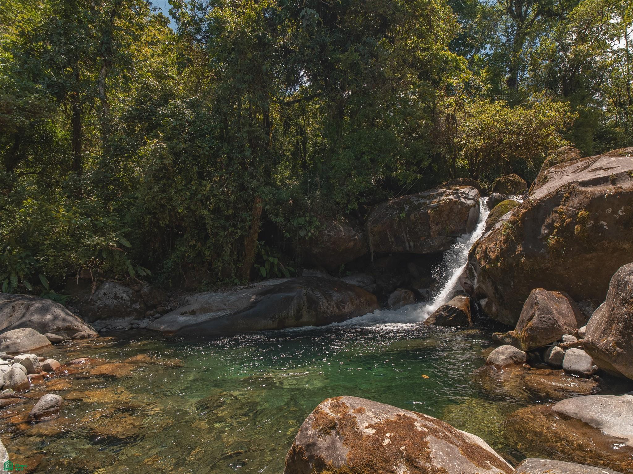 Jardín Sin Tiempo | Chirripo