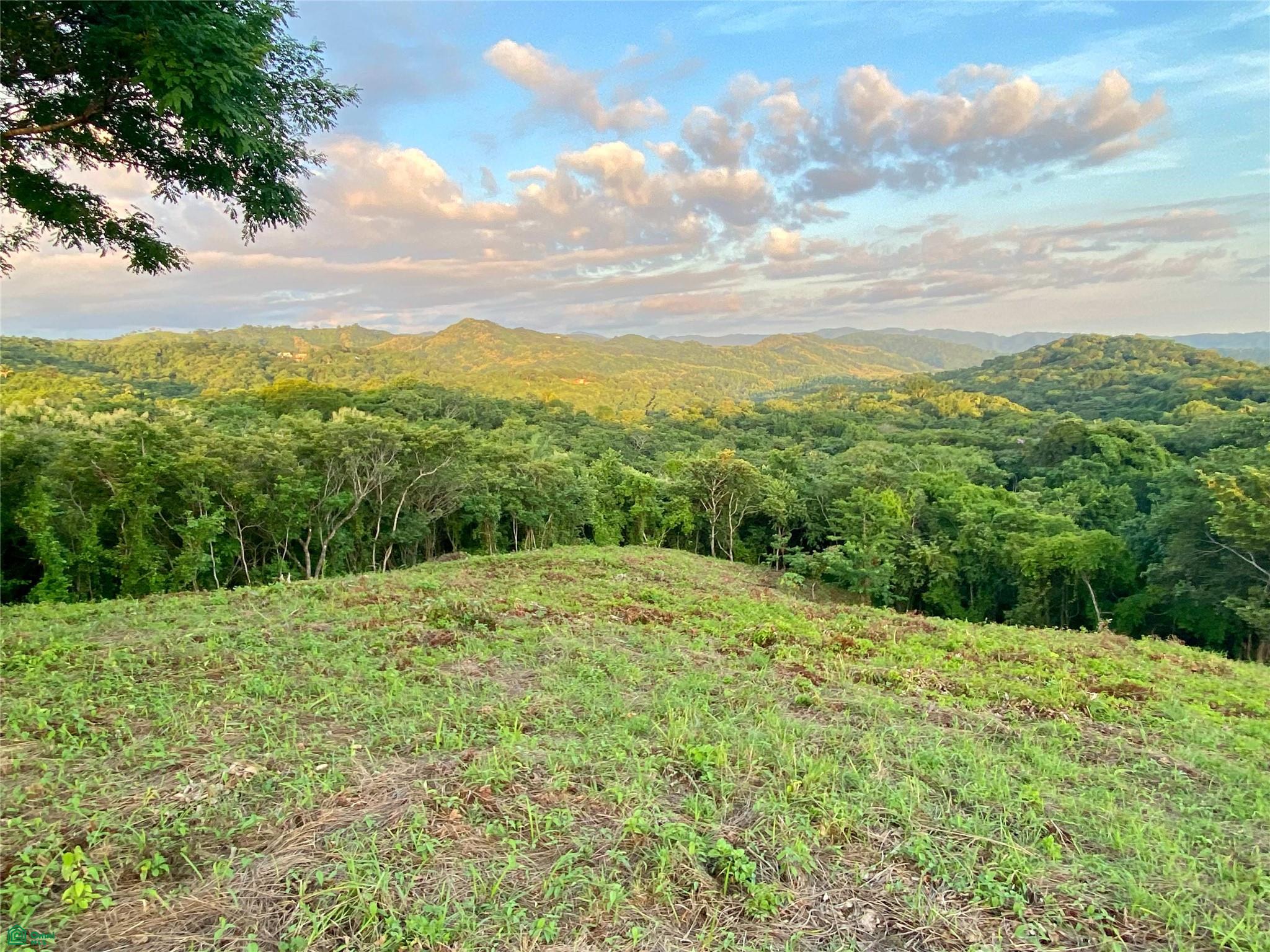 Playa Ostional Development 20-Lots on 8 ha